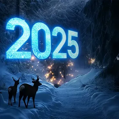 Mensaje de Año Nuevo y perspectivas para 2025